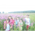 14 июня заведующая Черногубцевским с/ф провела с детьми экопутешествие "Красная книга Смоленщины".