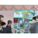 16 апреля в Акатовской библиотеке совместно с ДК и Администрацией с/поселения прошел час экологии
