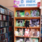 Фото выставка "Мой ласковый и нежный зверь"